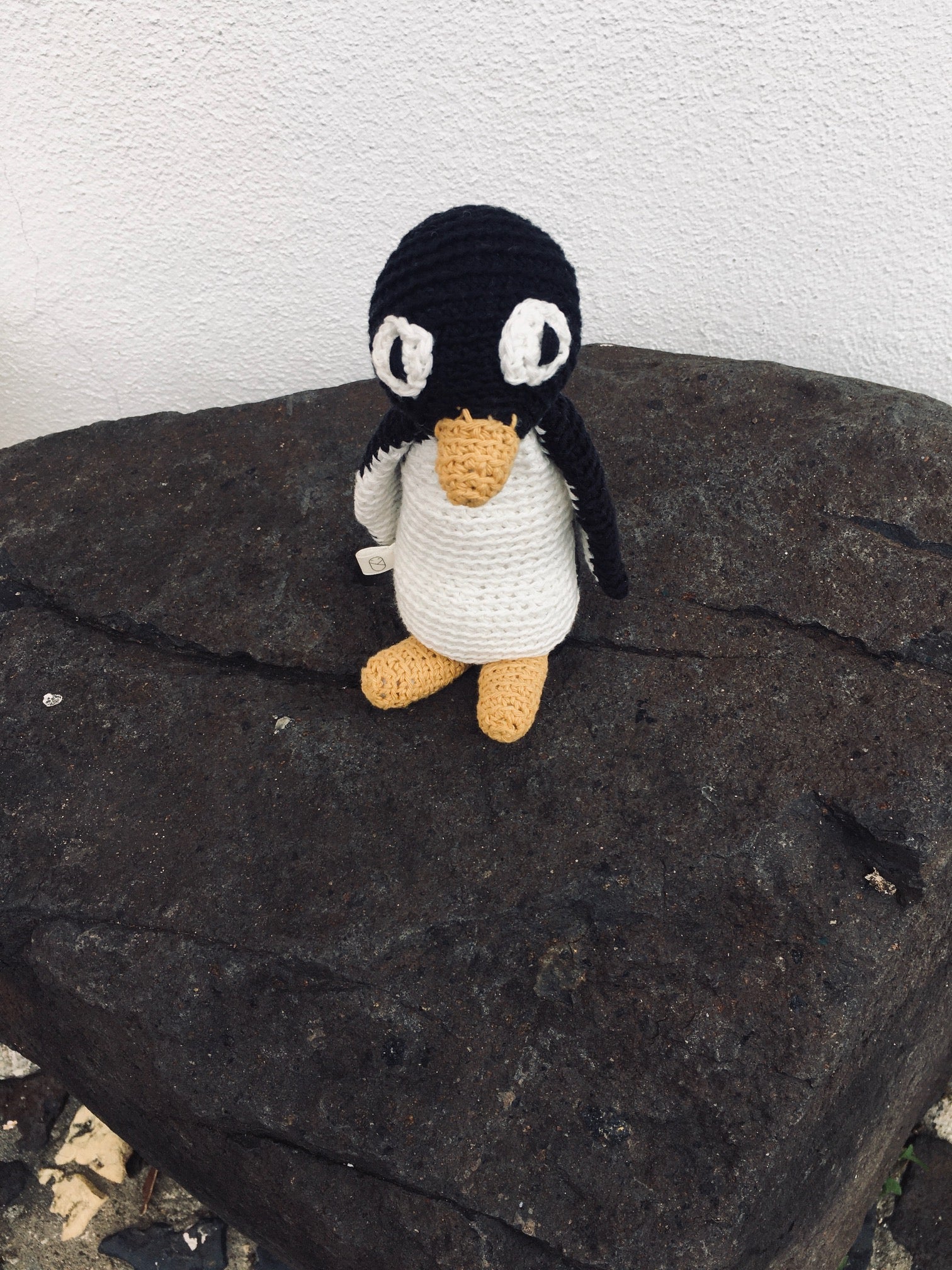 Barney the Pinguin