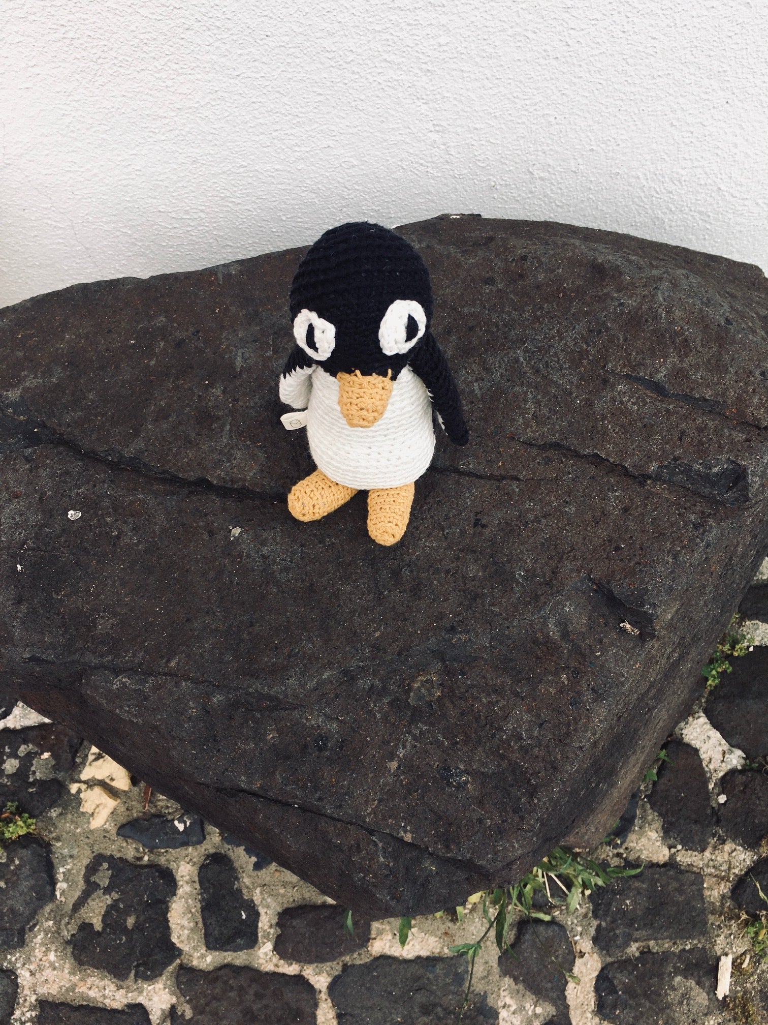 Barney the Pinguin